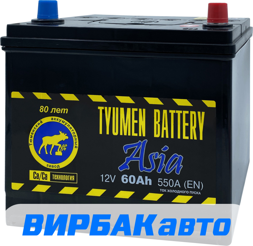 Купить Аккумулятор TYUMEN BATTERY Asia 60 Ач 550 А обратная полярность,  клемма стандартная, цены в Ростове-на-Дону — интернет-магазин VIRBACauto